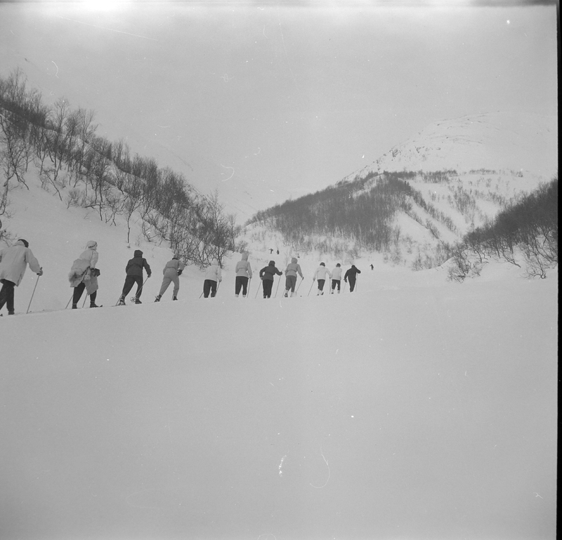 http://192.168.50.66/flyg/f4-50-426.jpg