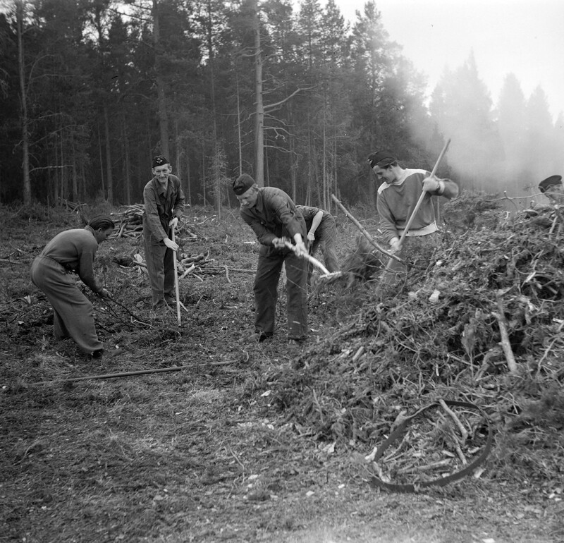 http://192.168.50.66/flyg/f4-00-2718.jpg