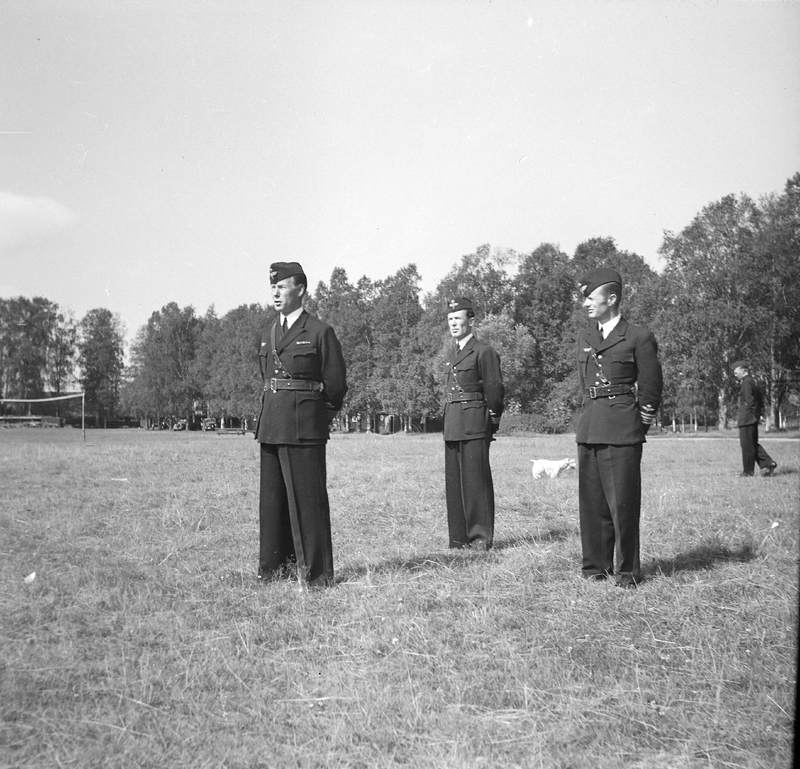 http://192.168.50.66/flyg/f4-00-2387.jpg