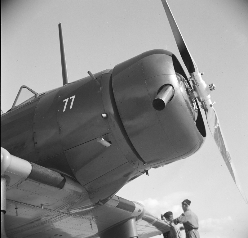 http://192.168.50.66/flyg/f4-00-1193.jpg