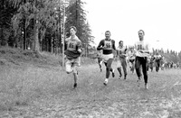 http://192.168.50.67/flyg/F4-87-39-01.JPG