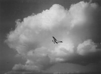 FOL_P1-018.jpg