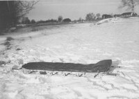 FOL_P1-195.jpg